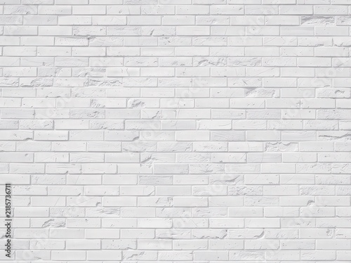 White painted brick wall with a rough texture and visible mortar lines, creating a clean, minimalistic background.