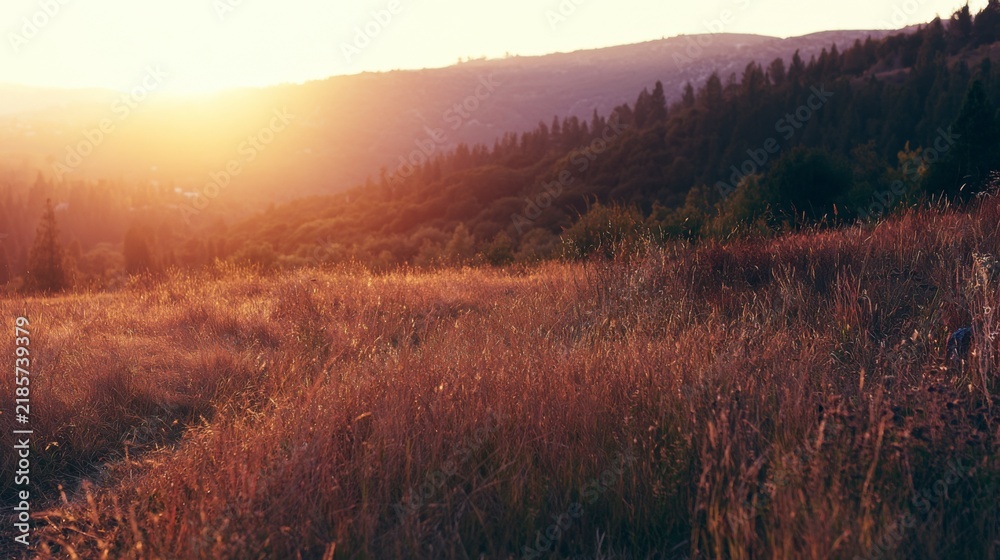 Obraz premium Serene Sunset Over Rolling Hills with Golden Grass and Lush Green Forests Under a Warm Orange Sky in a Quiet Valley Landscape