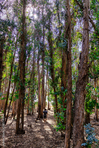 Exploring Morro Dunes Natural Preserve in Montana de Oro State Park