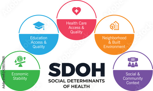 Social Determinants of Health SDOH Healthcare Infographic Chart