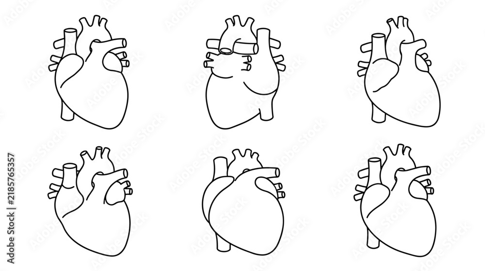 Fototapeta premium Set of human heart anatomy vector icons in outline style, medical cardiology symbols, cardiovascular system health, biological diagrams, scientific