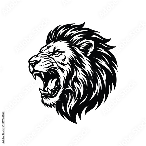 Roaring lion head with mane in profile during an aggressive display isolated on white background
