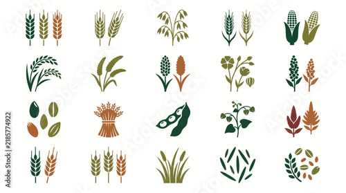 Cereal crop icons and grain agricultural symbols showcasing wheat stalks, diverse grain seeds and crop species, concept for healthy food production and agricultural branding