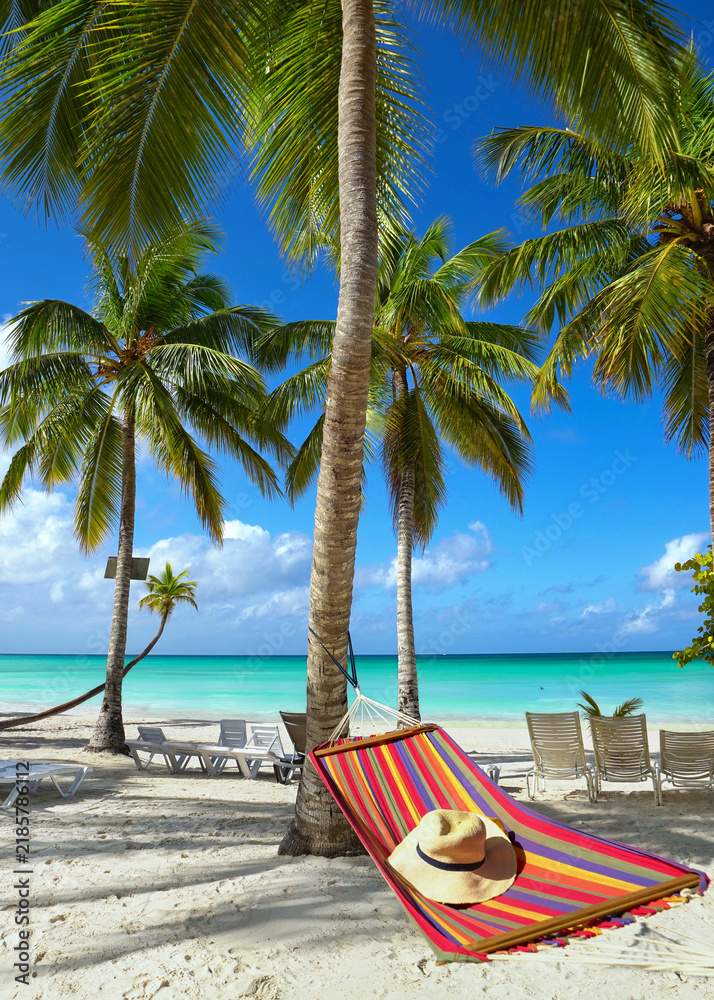 Obraz premium caribean beach with hammock and palm trees