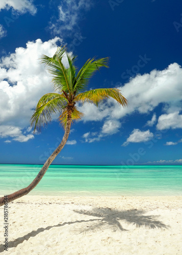 Obraz na płótnie Relaxing Caribbean Vacation Scene with Palm Trees and Blue Ocean