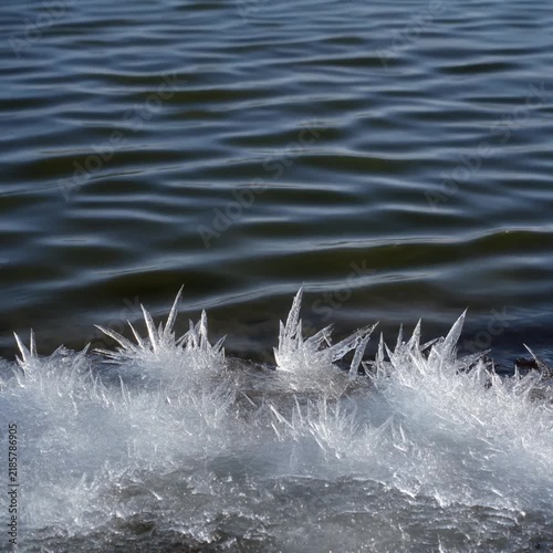 池の氷の縁の結晶 シームレスループ動画背景 1:1 4K