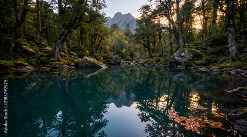 riflesso nell'acqua
