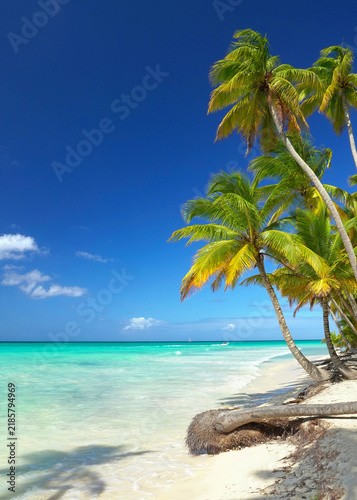 Obraz na płótnie Exotic Tropical Beach with Turquoise Water and Bright Blue Sky