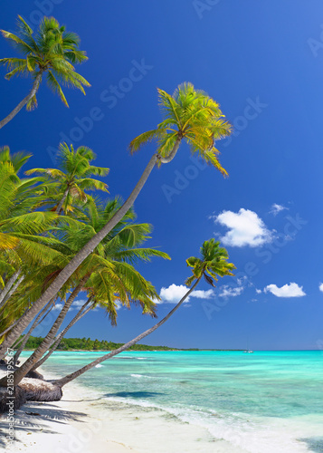 Obraz na płótnie Paradise Beach in the Caribbean with Turquoise Water and Blue Sky