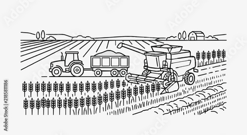 Harvesting Wheat with Tractor and Combine Harvester in Rural Field