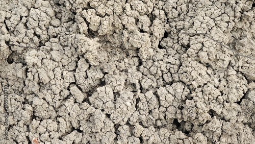 Canvastavla Close-up of dry cracked soil with rough clumps and deep crevices, showing natura