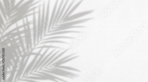 Shadows of tropical palm leaves cast upon a clean white stucco wall, providing an aesthetic backdrop for branding; easy to cut out for background replacement