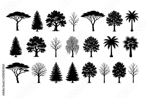 Trees silhouettes set showing various species and foliage types isolated on white.