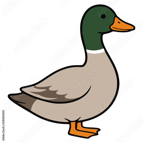 Bild auf Leinwand cartoon cute mallard duck animal flat color vector illustration template design