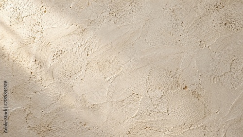 Raw lime plaster wall texture with visible trowel marks