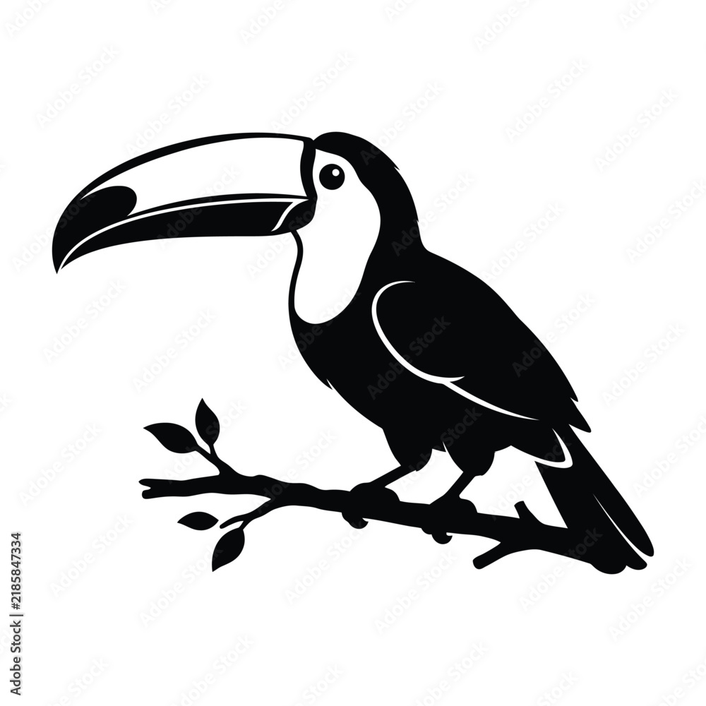 Obraz premium Toucan bird illustration