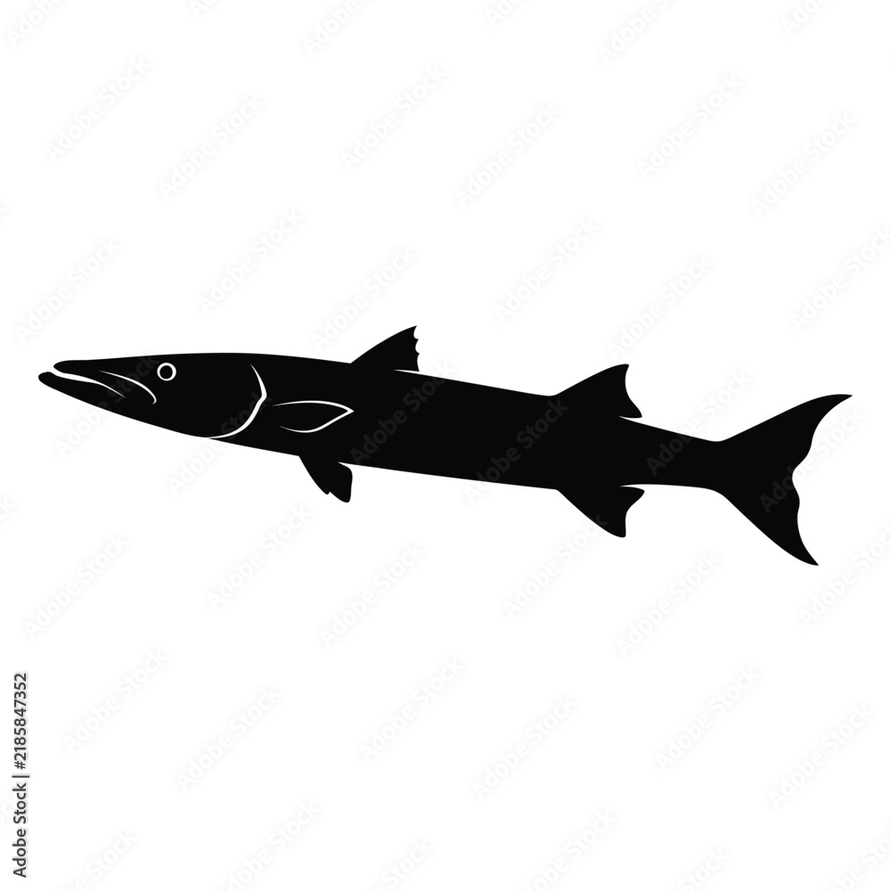 Obraz premium Barracuda fish silhouette