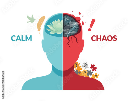 Conceptual of mental states: balancing calm and chaos in the human mind