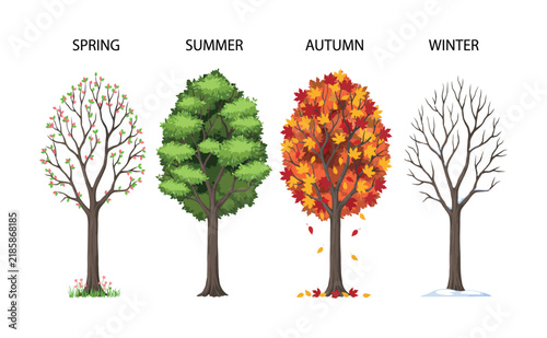 Four seasons featuring trees in spring, summer, autumn, and winter