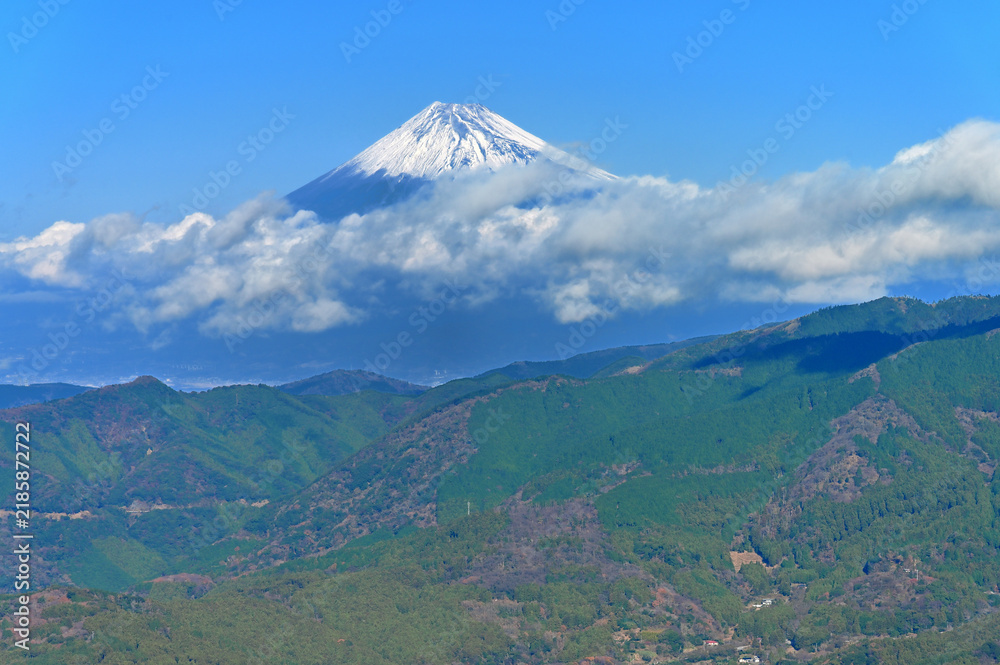 Fototapeta premium 伊豆半島 伊豆山稜線歩道 ミソウ台より望む初冬の富士山