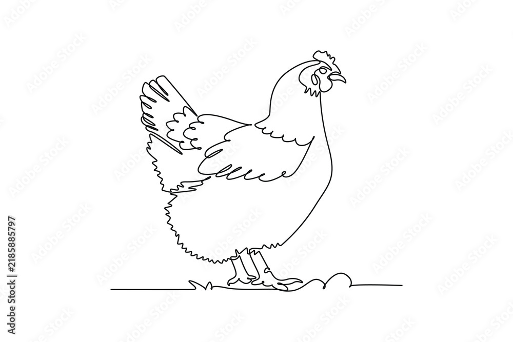 Fototapeta premium Single one line drawing animal farm chicken hen standing on the ground, showcasing feathered wing, crest comb, domestic poultry livestock fauna. Continuous line draw design graphic vector illustration