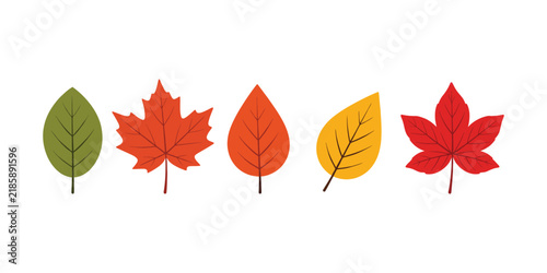 Autumn-Fall Leaves Set Colorful Vector Leaf Icons for Seasonal Design