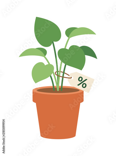 Green houseplant in a clay pot with a percentage discount tag for a garden center sale