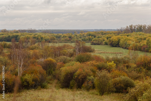 Panoramic autumn landscape with golden crowns of trees, glades and cloudy sky