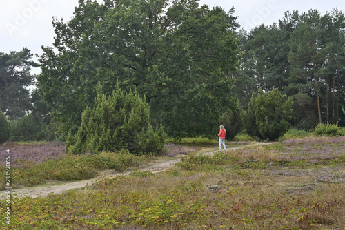 heide