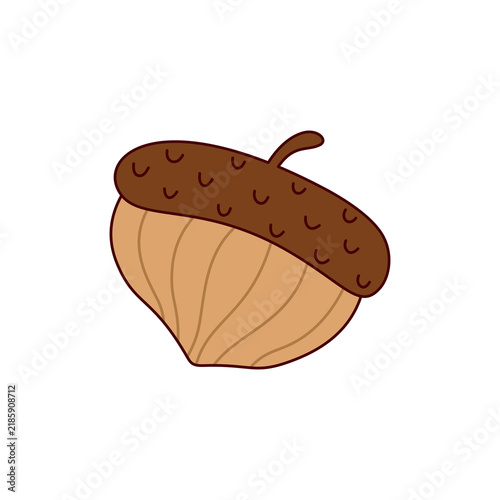 Acorn Botanical Element's