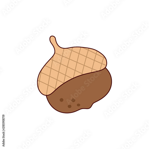 Acorn Botanical Element's