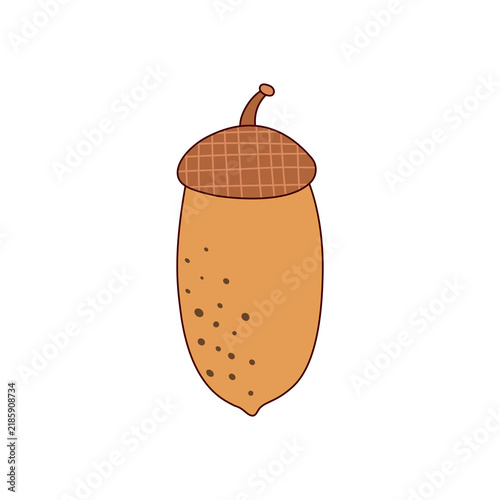 Acorn Botanical Element's
