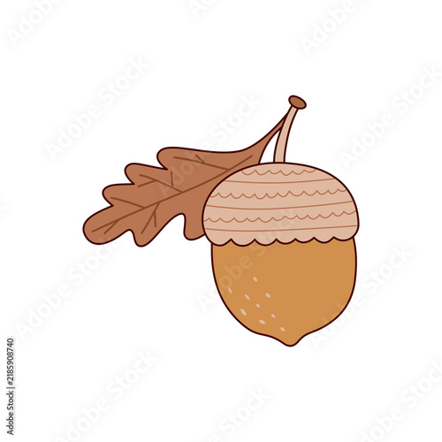 Acorn Botanical Element's