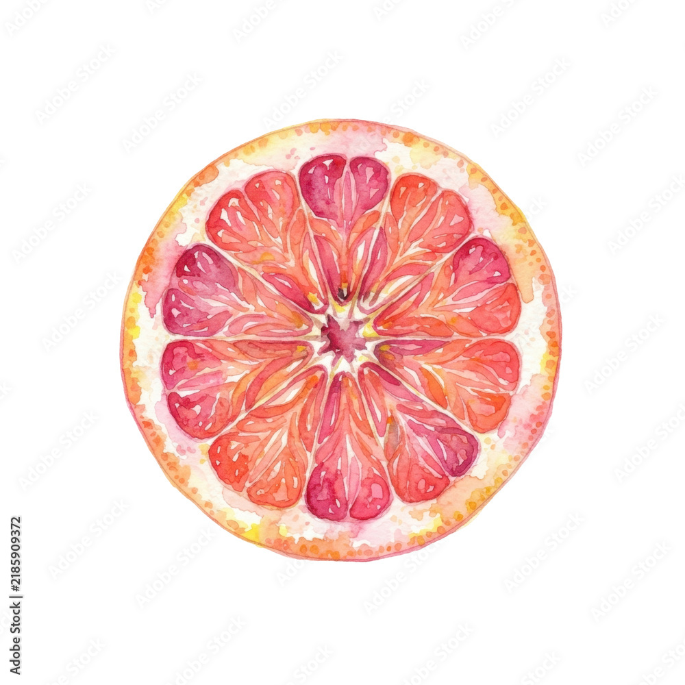 Obraz premium Citrus Slice Watercolor: A vibrant watercolor illustration of a ruby red grapefruit slice, showcasing its juicy segments and textured rind, with a bright and fresh aesthetic.