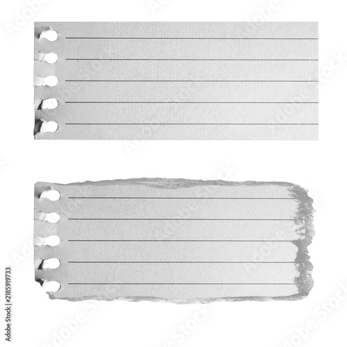 Abstract Note Torn Paper Background with White Texture Transparent