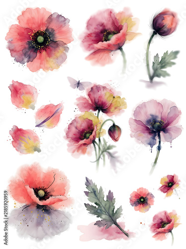 Watercolor orange poppy flowers and leaves set / wild field poppy head, seed pod capsule, green bud, and single falling petals isolated on white
