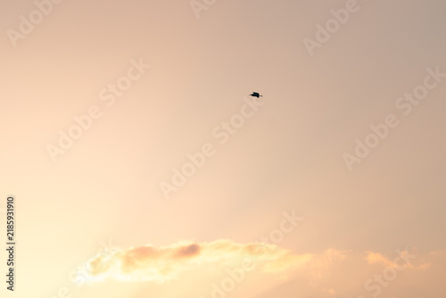 Photography sunset in the sky