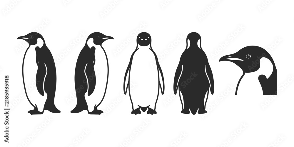 Obraz premium Set of emperor penguin illustrations showing different poses and angles in a simple black and white style