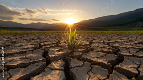 Hope Sprouts from Arid Land: A solitary green shoot emerges from parched, cracked earth, bathed in the warm, hopeful light of a rising sun.