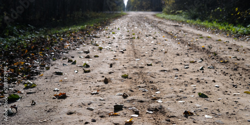 A quiet dirt road leads through a dense green forest in natural daylight. Forest gravel path, nature travel, peaceful autumn landscape, countryside. Banner with copy space
