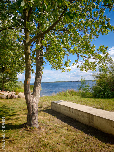 Senftenberger See im Sommer unter Bäumen und blauem Himmel