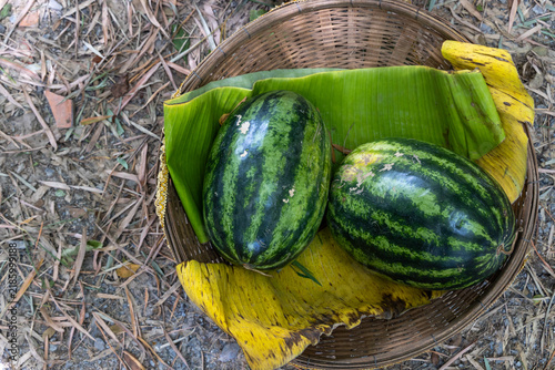 Watermelon in the bamboo basket selling in street market.