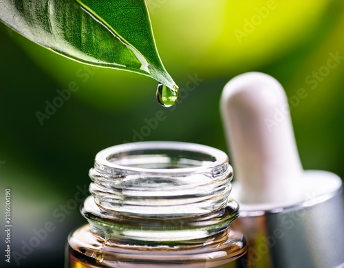 essential oil serum or water dropping from fresh green plant leaf to the cosmetic bottle or jar close up