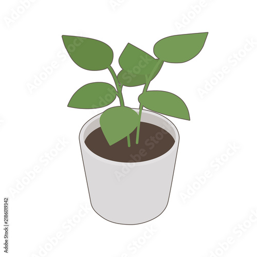 Isometric potted plant illustration on white background
