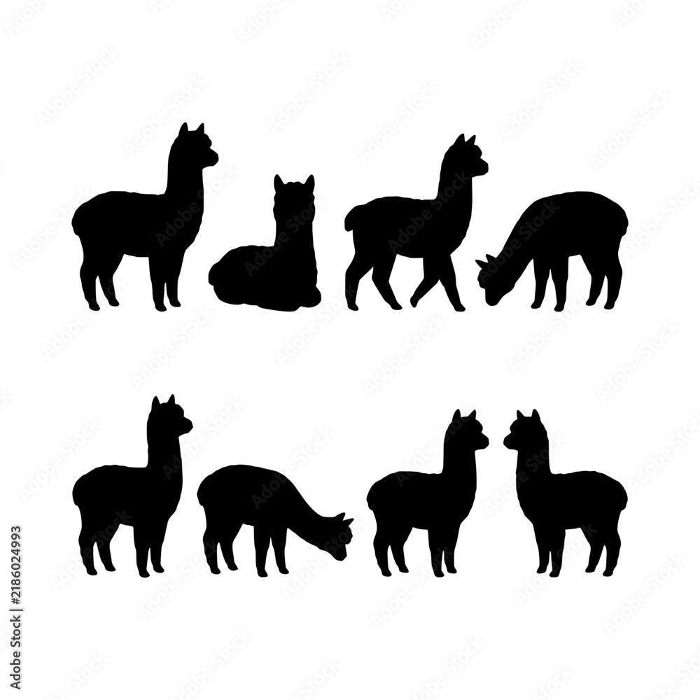 Obraz premium Standing sitting alpacas silhouette vector illustration, Alpacas poses silhouette set design