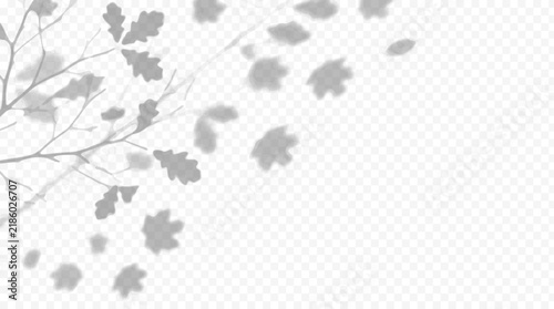 Easy to edit layered vector shadow. Oak leaves and branches across a checkerboard background. Adjust tonal layer opacity to control shadow intensity and perceived softness.