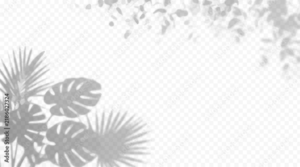 Obraz premium Easy to edit layered vector shadow. Tropical palm and monstera leaves over transparent checkerboard. Adjust tonal layer opacity to control shadow intensity and perceived softness.