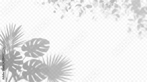 Easy to edit layered vector shadow. Tropical palm and monstera leaves over transparent checkerboard. Adjust tonal layer opacity to control shadow intensity and perceived softness.