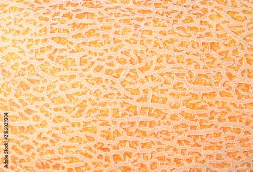 Obraz na plátně Cantaloup melon peel as natural background