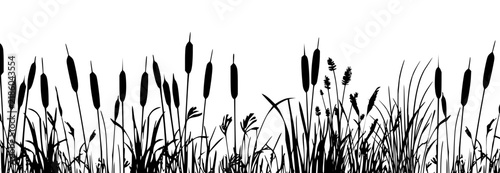 Black cattail reed silhouettes with tall marsh grass plants, isolated vector set.